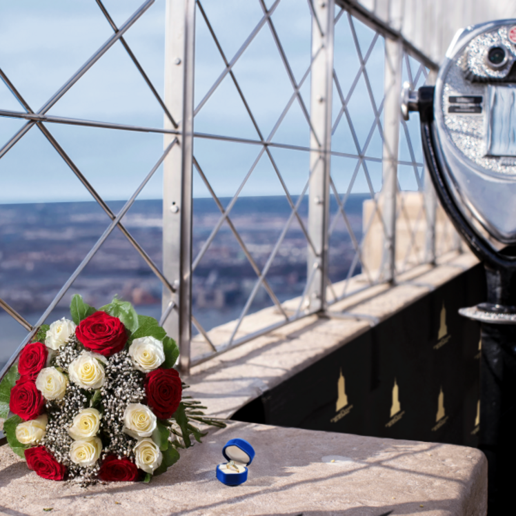 Propose at the #1 Attraction in New York City